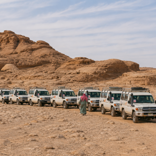 Private Trip Nomad Safari